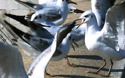 Adicciones y responsabilidad personal