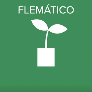 Phlegmatisches Temperament