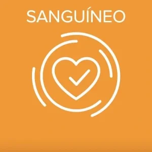 Sanguinisches Temperament