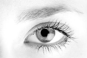 Purifier le regard, couper avec la pornographie qui est un vol d'intimité. Vérité de la personne dans son âme et son corps, beauté qui guérit et élève