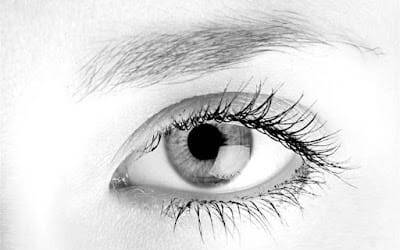 Pornovision ou regard limpide