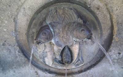 Gender e sesualità: andare alle fonti