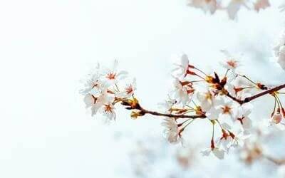 Orientaciones para educar la sexualidad