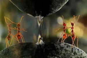Trova ispirazione per una vita piena di significato e realizzazione.