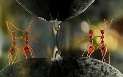 Le origini della rivoluzione sessuale