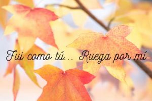 La buona morte realizza la buona vita. Eutanasia fallimento cure palliative, Pablo Requena