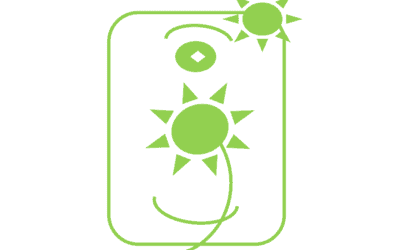 Narcissistic Personality Disorder