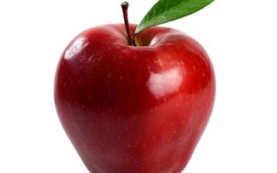 Varón y mujer los creó