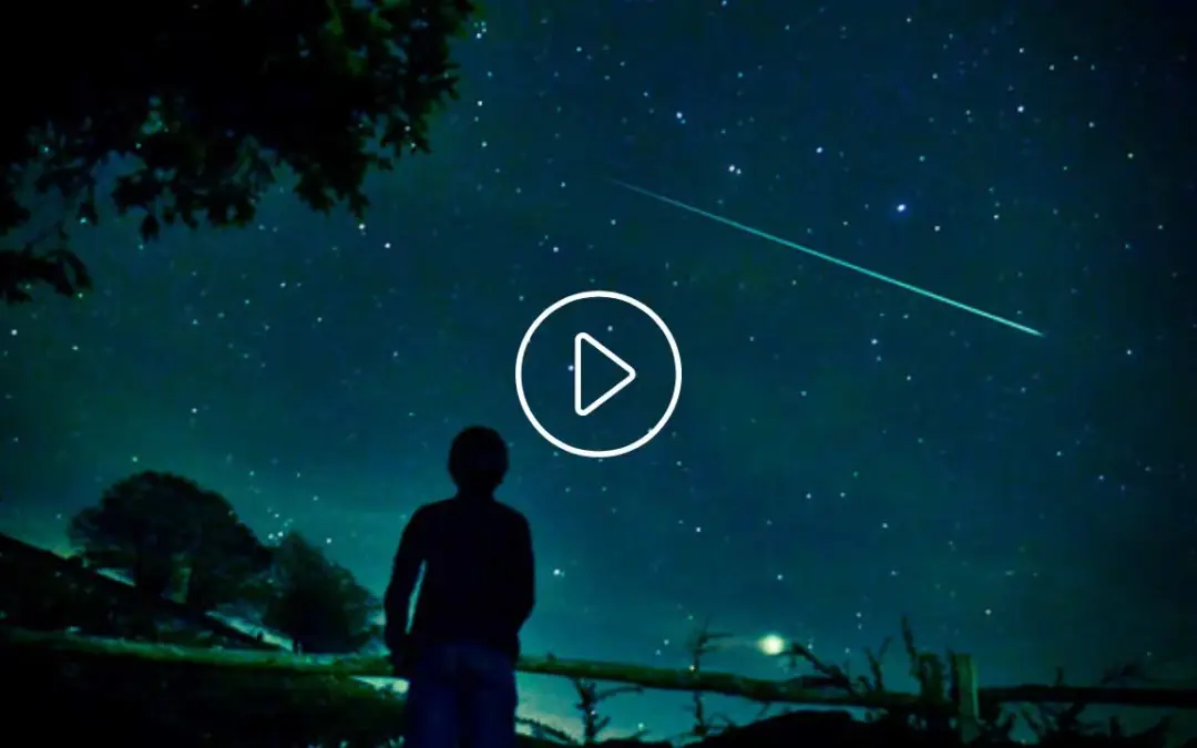 Personalidad y vida espiritual: vídeos