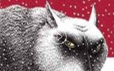 Acompañar a la persona herida