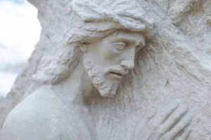 Il cuore di Gesù e il celibato, settimo articolo della serie Il celibato cristiano oggi, Fernando Cassol