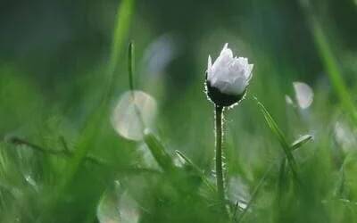 Dar a conocer la sexualidad humana en la familia