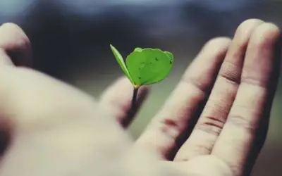 La crise : l’occasion d’une nouvelle naissance