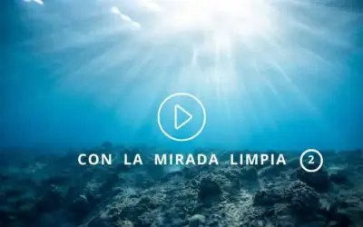 Pornografía, del vicio a la adicción