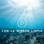 Primer vídeo serie con la mirada limpia, por qué no ver pornografía, Wenceslao Vial