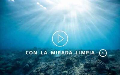 Por qué no ver pornografía