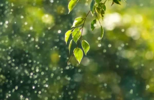 No quedarse aislado, encuentro, vínculo personal, entega al otro,