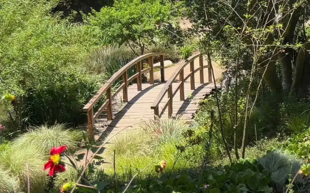 Gestión de conflictos: guía de convivencia y equipo (I)