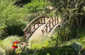 Puente de madera en un jardín representando la gestión de conflictos y la convivencia