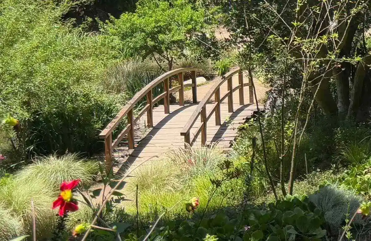 Ponte di legno in un giardino che rappresenta la gestione dei conflitti e la convivenza nel team