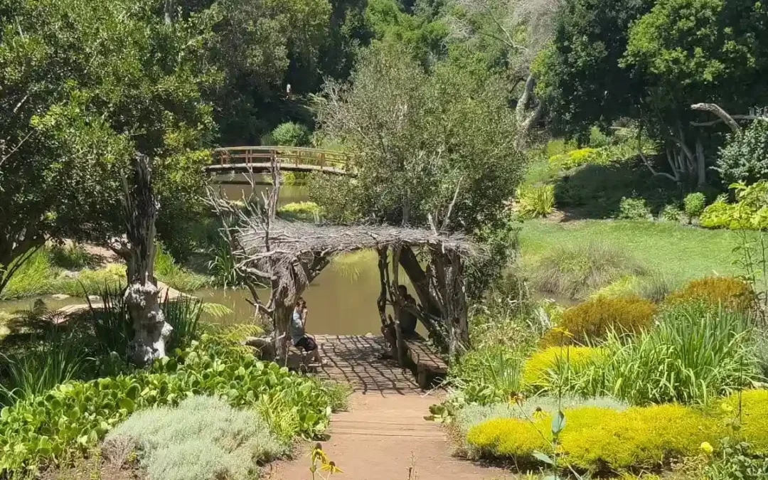 Resolución de conflictos: 8 pasos para lograr acuerdos (II)