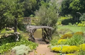 Dos personas colaborando en un refugio de jardín para la resolución de conflictos