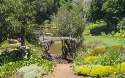 Resolución de conflictos: 8 pasos para lograr acuerdos (II)