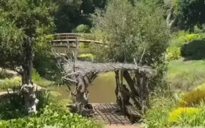 Conflict Resolution: 8 Steps to Reach Agreements (II)